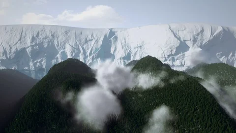 Forest and Glacier Stock Footage 79166280