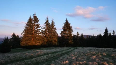Forest and grass meadow at dusk. Clouds on the blue sky at the end of the day. 動画素材 275596972