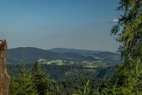 Forest and grass in summer evening near Stare Mesto town in Jeseniky Stock Photos