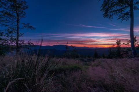 Forest and grass summer evening near Stare Mesto town in Jeseniky sunset colo Stock Photos