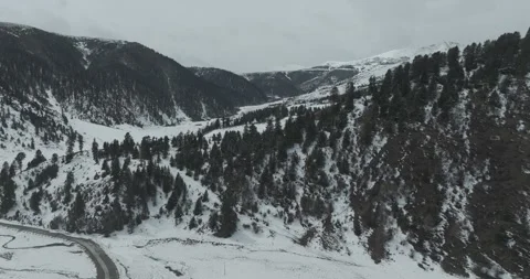 The forest and grassland after snowfall in winter Video stock 337985285