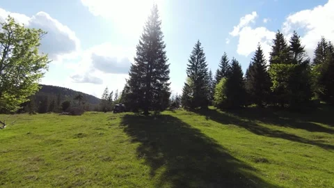 Forest and green fields in mountains 스톡 동영상 275756701