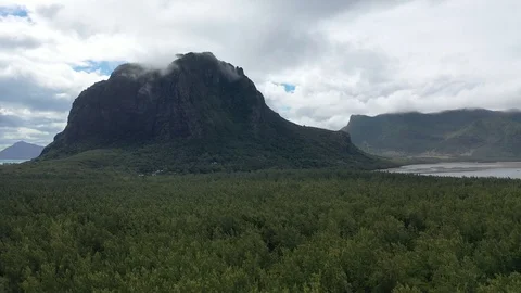 Forest and green mountain.mp4 Stock Footage 116772957