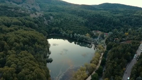 Forest and heart shaped pond drone shot Stock Footage 113679996