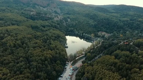 Forest and heart shaped pond Stock Footage 113680153