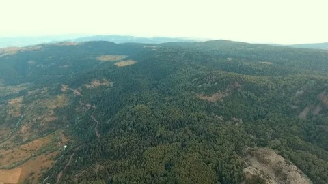 Forest and heart shaped pond drone shot Stock Footage 113680183