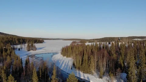 Forest and hills Video stock 106669599