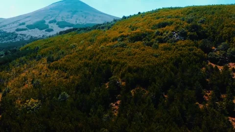 Forest And Hills Stock Footage 289033677