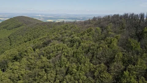 Forest and Hills in the spring sunshine Stock Footage 240827771