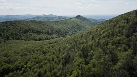 Forest and Hills in the spring sunshine Stock Footage 240827935