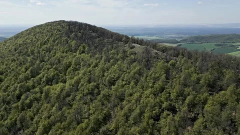 Forest and Hills in the spring sunshine Stock Footage 240828031