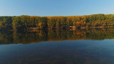 A forest and it's picturesque reflection in a river. Stock Footage 114432269