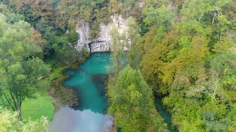 Forest and karst spring below limestone cliff aerial view Stock Footage 327072023