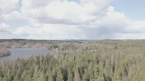 Forest and Lake Drone Video stock 240321375
