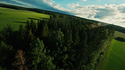 Forest and land Stock Footage 288156038