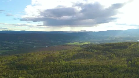 Forest And Landscape Stock Footage 249908426