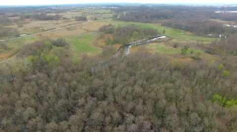 Forest and marsh view from the air Stock Footage 63083891
