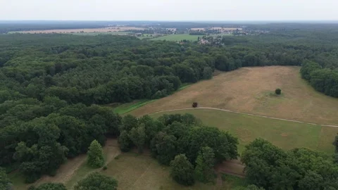 Forest and meadow clearing under an overcast Saxony sky 스톡 동영상 340646707