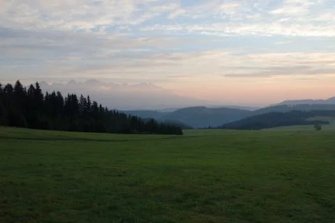 Forest and meadow Stock Photos