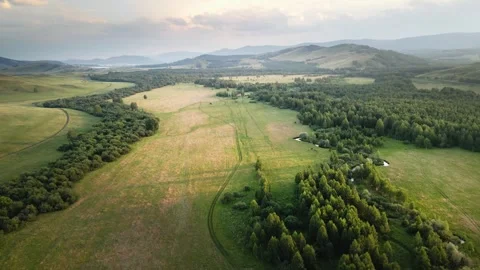 Forest and meadows with green grass at sunset. Stock Footage 278908512