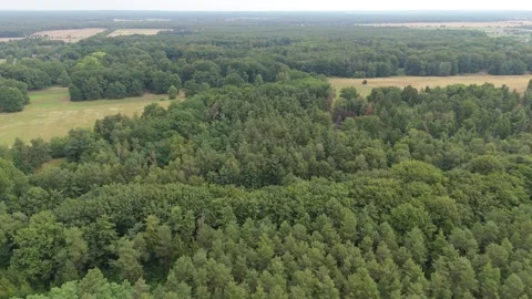 Forest and meadows stretching across the Lusatia lowlands 스톡 동영상 340646754