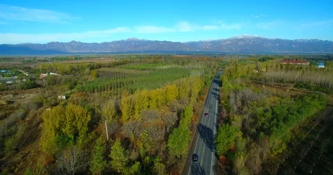 Forest  and mountain in Autumn Video stock 77150353
