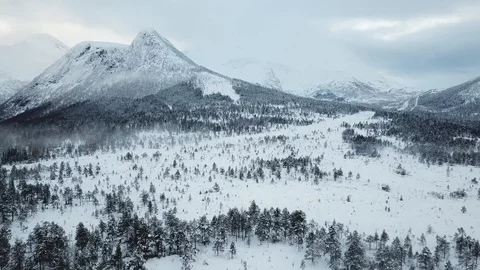 Forest and mountain covered in snow and mist Stock Footage 124287666