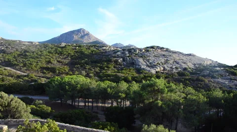 Forest and mountain Stock Footage 68870982