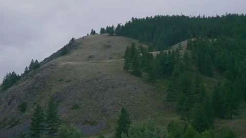 Forest and mountain Stock Footage 171728835