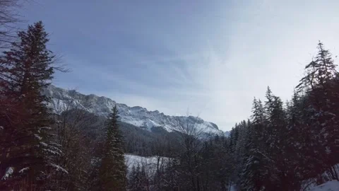 Forest and mountain landscape Stock Footage 272790196
