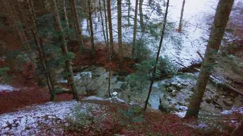 Forest and mountain landscape Stock Footage 272790198