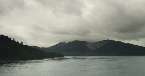 Forest and Mountain Landscape in New Zealand Bay 库存影片 87104411