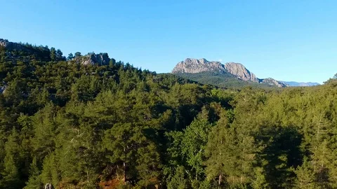 Forest and Mountain Making Pan with Drone Stock Footage 130106496