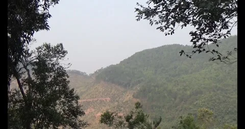 Forest and mountain scene Stock Footage 297029790