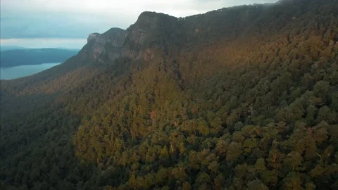 Forest and mountain at sunset, North Island, New Zealand 스톡 동영상 132474565