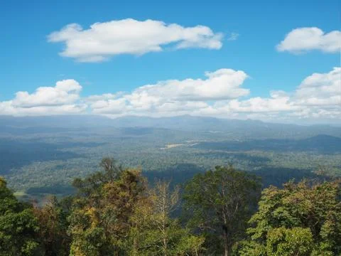 Forest and mountain views On the background is the sky with white clouds. Foto stock