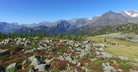Forest and mountains - Aerial view 4k Stock Footage 68089062