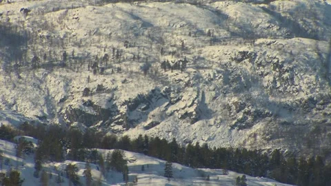 Forest and mountains in Alta Stock Footage 156277416