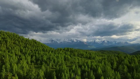 Forest and mountains in cloudy weather. Dark clouds, drone video. Stock Footage 245619688