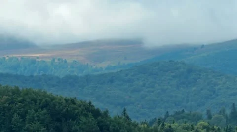 Forest and mountains Stock Footage 20452739