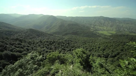 Forest and Mountains Stock Footage 78202139