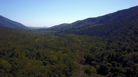 Forest and mountains Stock Footage 80859229
