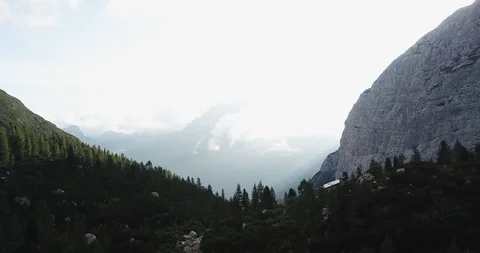 Forest and mountains Stock Footage 129170303