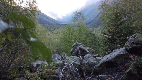 Forest and mountains Video stock 144860096