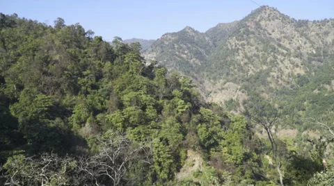 Forest and the mountains in India Stock Footage 58397248