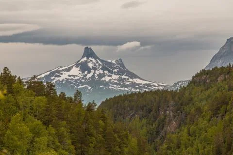 Forest and mountains Stock Photos