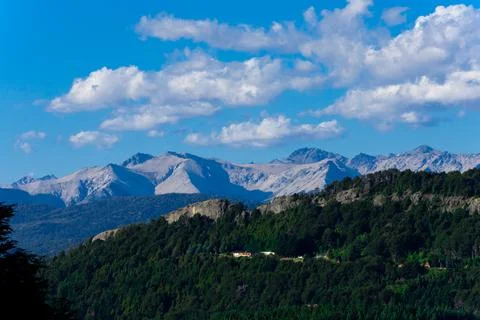 Forest and mountains Stock Photos