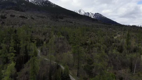 Forest and mountains view from drone Stock Footage 140328411