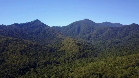 Forest and mountains wilderness Stock Footage 80859102
