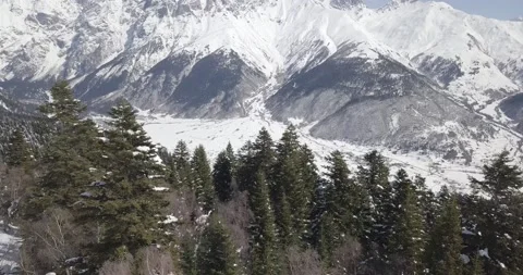 Forest and Mt.Ushba 库存影片 152854351